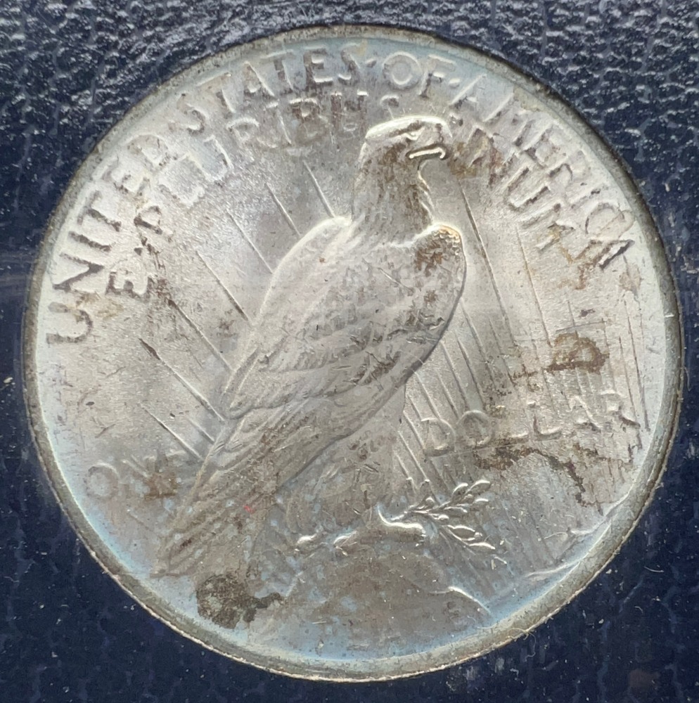 Another-1923-Peace-Dollar-In-Paramount-Holder,-Thoughts?